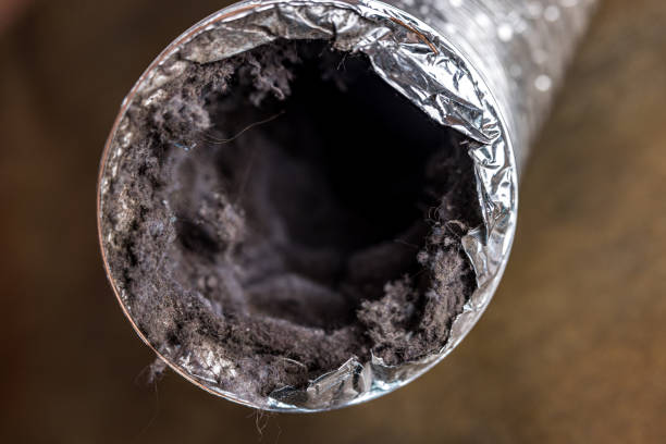 Best Air Duct Cleaning Near Me  in East Cleveland, OH